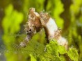 /album/porticello-casteldaccia-velocemente/diapositiva45-jpg/